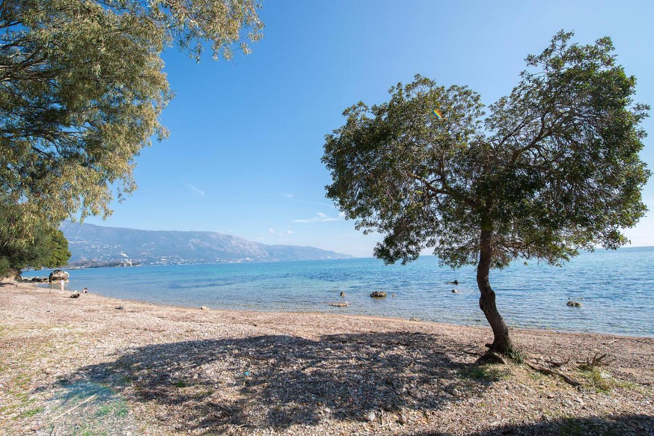 Spyrelia Villa With Private Pool & Outdoor Hot Tub Dassiá Eksteriør bilde